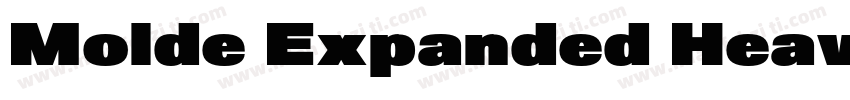 Molde Expanded Heavy字体转换